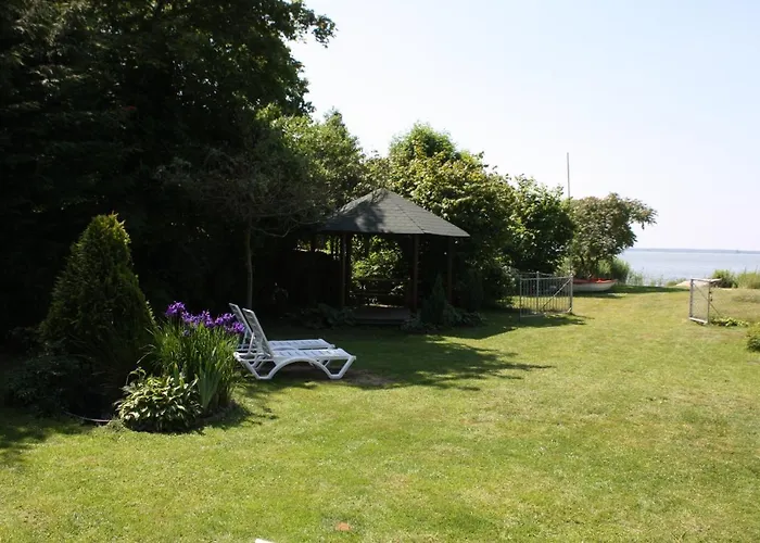 Beata نوفي فاربنو